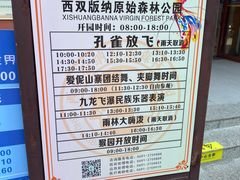 -西双版纳原始森林公园