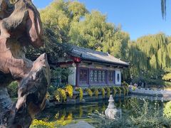 -趵突泉景区
