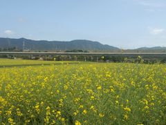 -光明小镇欢乐田园