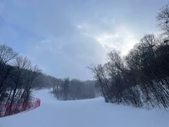 -亚布力新体委滑雪场