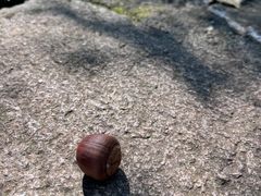 -南山风景名胜区