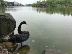 -上海怡沁园度假酒店
