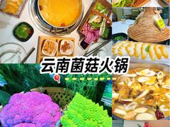 -花菇朵 ll 野生菌火锅·精品云南菜(后沙峪店)