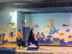 -太平洋海底世界