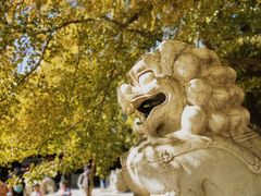 -北京石刻艺术博物馆(五塔寺)