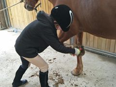 -月河湾马术俱乐部(朝阳店)