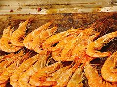阿根廷红虾-汉巴味德(大悦城店)