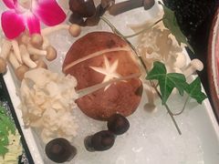 -盡膳口福跷脚牛肉火锅(北美新天地店)