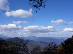 -白草畔自然风景区