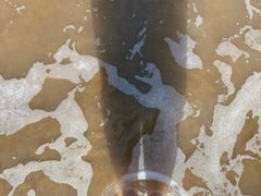 -普陀山风景名胜区-千步大沙