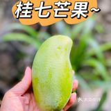 “芒芒”人海，有“果”相伴