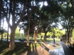 -蠡湖大桥公园