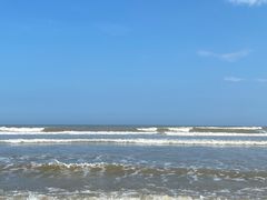 -日照海滨国家森林公园
