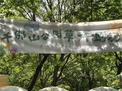 -千佛山风景名胜区