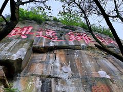 -铁山坪森林公园