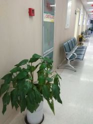 -成都西区医院整形美容