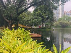 -晓港公园