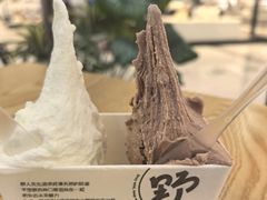 -野人先生Gelato(上海长宁龙之梦店)