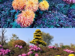-陕西省西安植物园