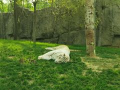 -北京野生动物园