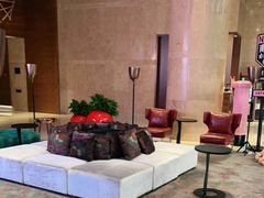 -南京禄口机场雅高铂尔曼大酒店