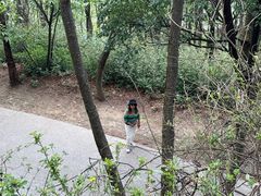 -寂照庵