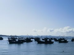 -海源公园