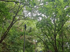 -帽儿山国家森林公园