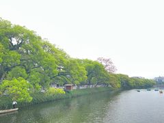 -潮镇老尾牛杂(环城西路店)