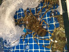 -海鲜城大家餐厅