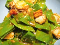 梅豆扇贝肉-前海沿·青岛菜(大拇指广场石老人店)