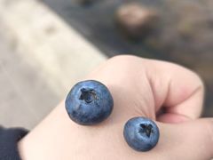 -南坛综合农贸市场