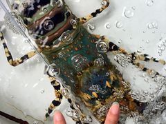 -拉威海鲜市场