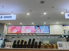 -雾与山茶(大禹城店)