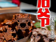 -浩爷羊蝎子火锅(望京店)