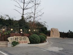-怪坡茶馆