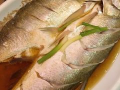 -西塘万安桥农家菜