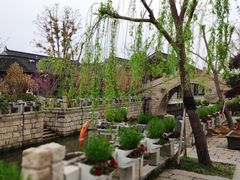 -东台西溪天仙缘景区