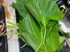 -红岸碳烤齐齐哈尔原味生态烤肉