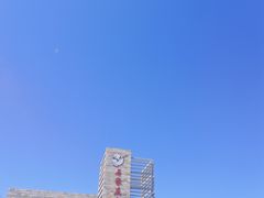 -石家庄市动物园