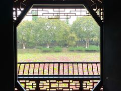 -桂湖森林公园