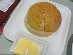 -南枝记