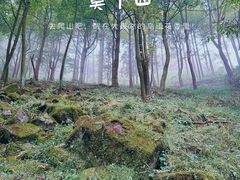 -莫干山风景区