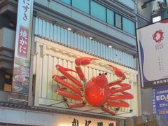 -蟹道乐(道顿堀本店)