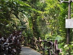 -野象谷景区