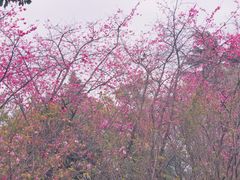 -昆明动物园