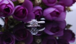 -威德钻石-克拉钻大本营(南京东路店)