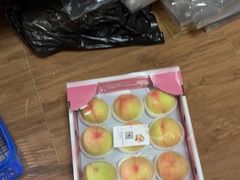 -南汇新场正宗水蜜桃采摘