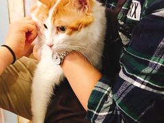 -小时光咖啡馆(开森度假森林店)
