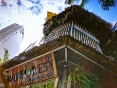 -Rainforest